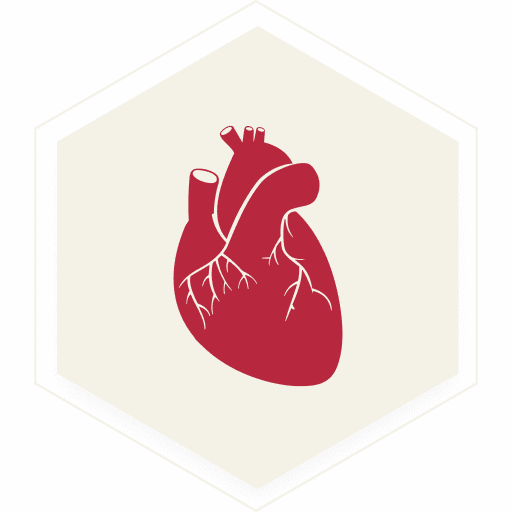 ASCN-Favicon