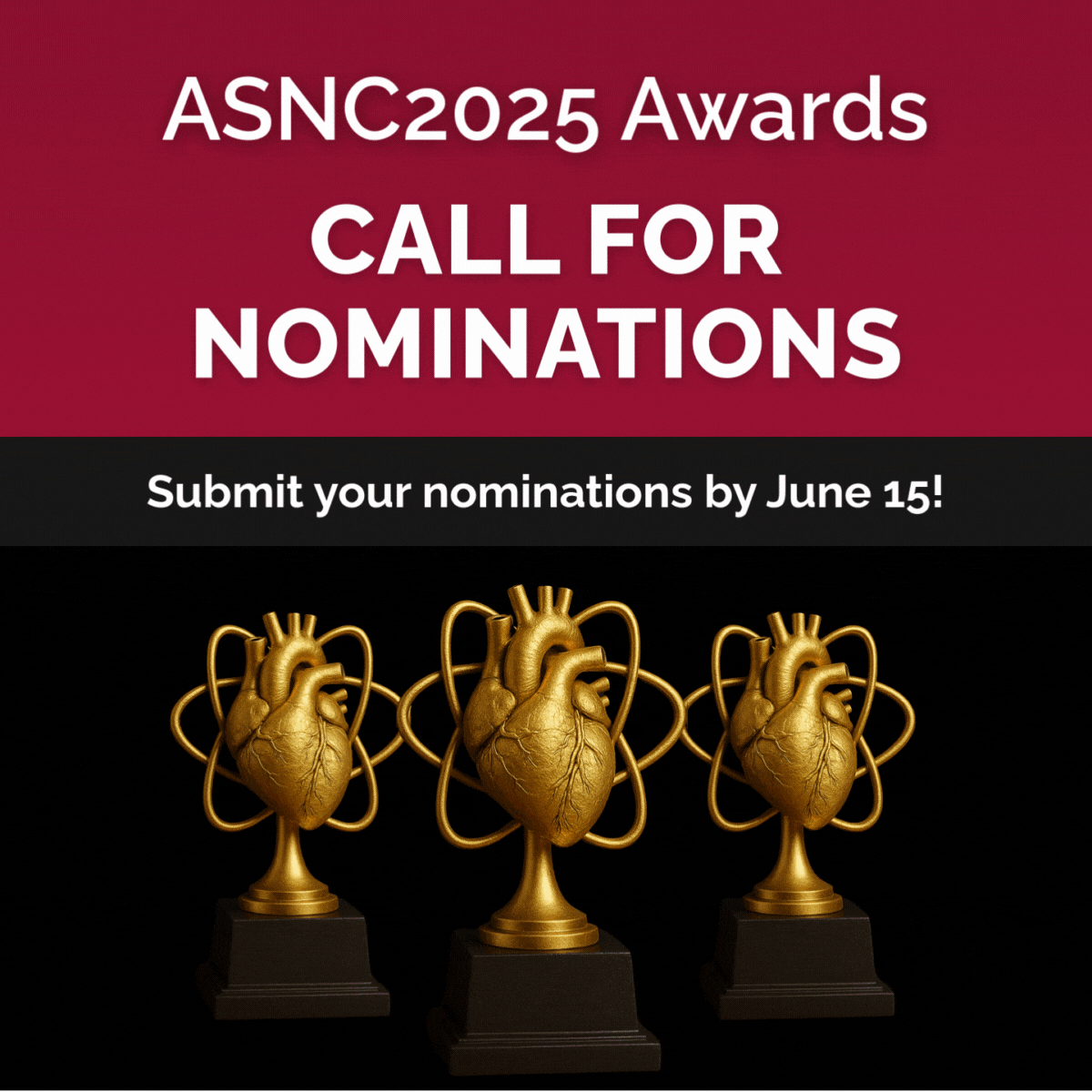 ASNC2025 Awards square graphic