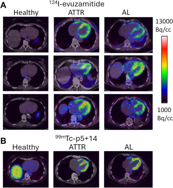 JNC_figure_3_A tale of two tracers JNC_figure_3_A tale of two tracers