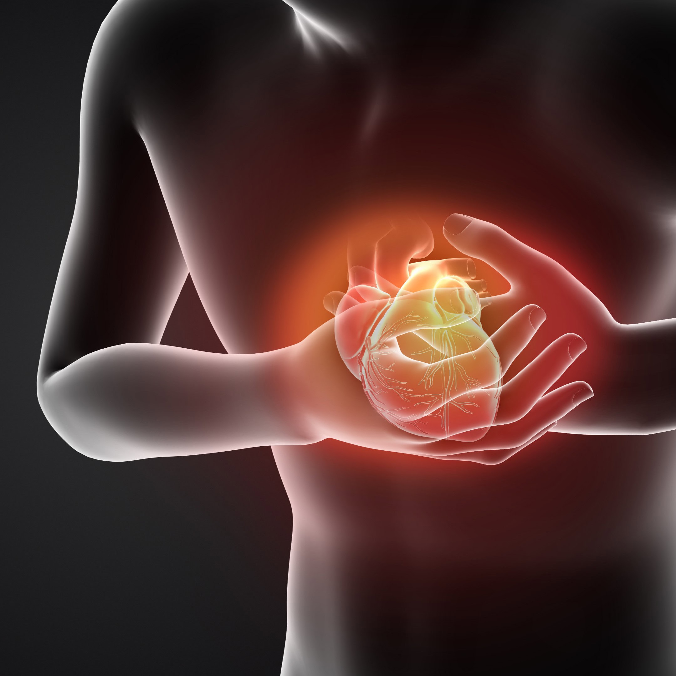 AdobeStock_1954525820