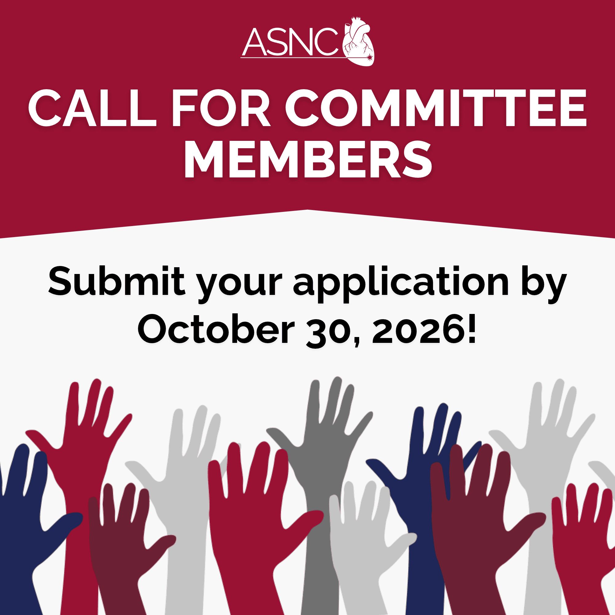 2027 Call for committee members